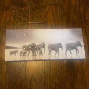 Elephant canvas